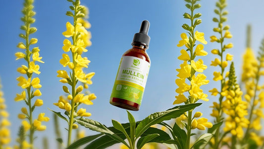 Boost Your Immunity This Spring: A Guide to Enhancing Your Immune System