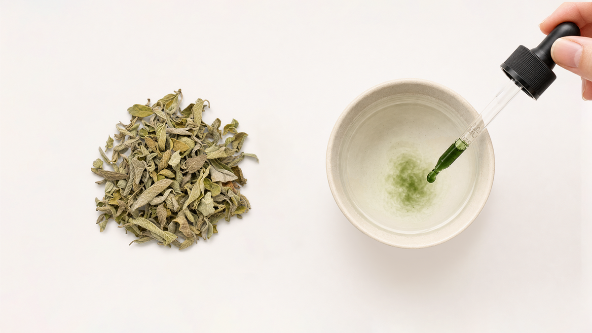 Flat lay: dried mullein leaves and green mullein tincture drops dissolved in water, mullein tea vs mullein liquid drops
