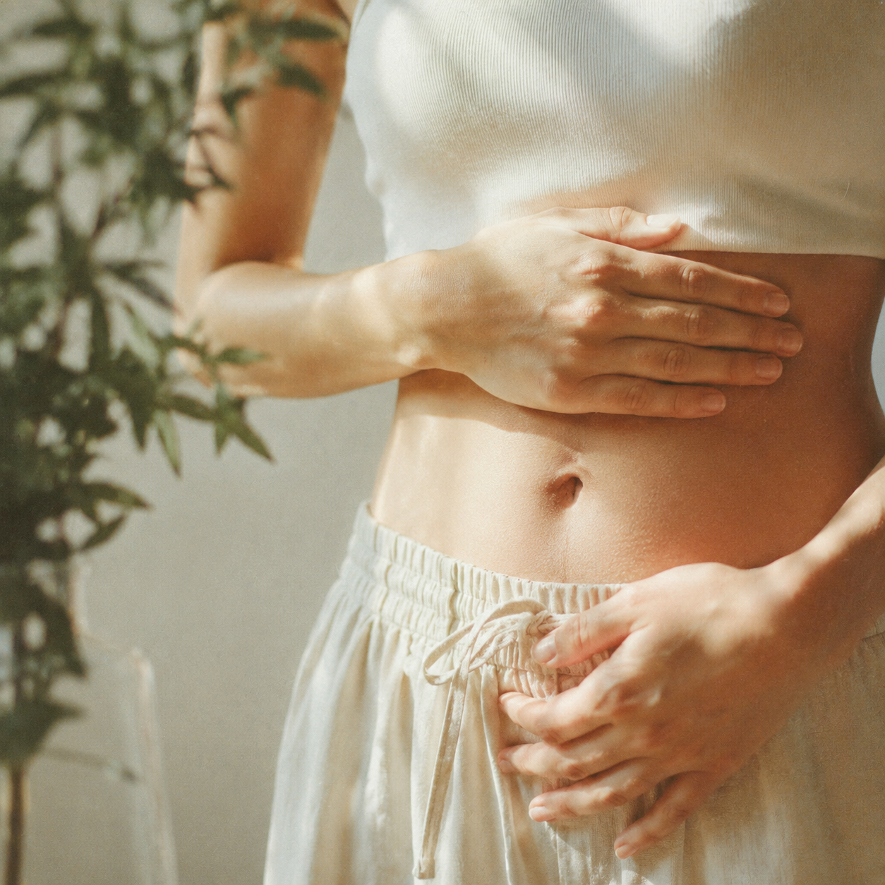 Digestive Health Support