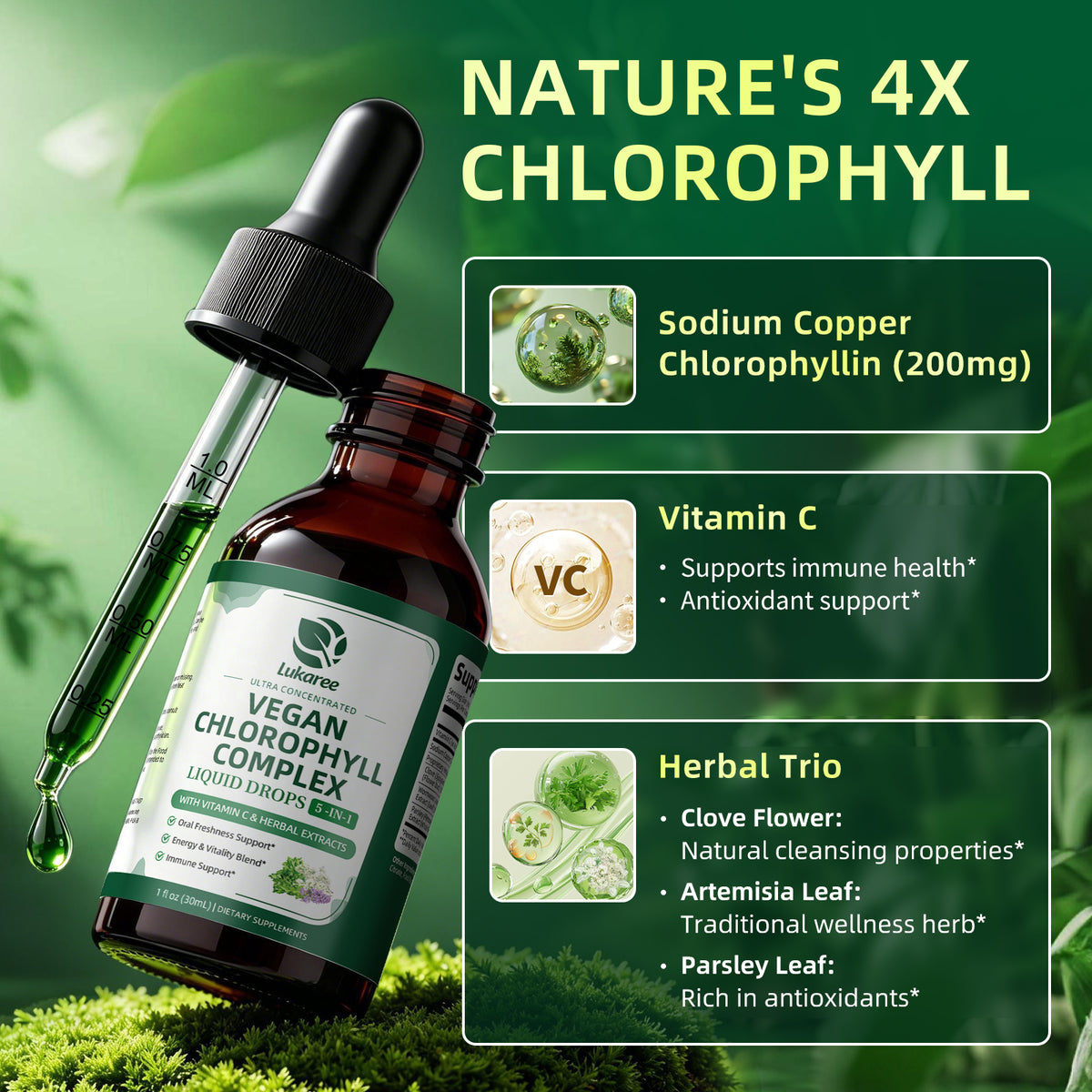 Chlorophyll Drops 200mg  • 1 fl oz (30ml)
