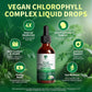 Chlorophyll Drops 200mg – 4X Strength Liquid Chlorophyllin | Cleansing, Odor Control, Skin & Gut Health | Refreshing Mint Flavor