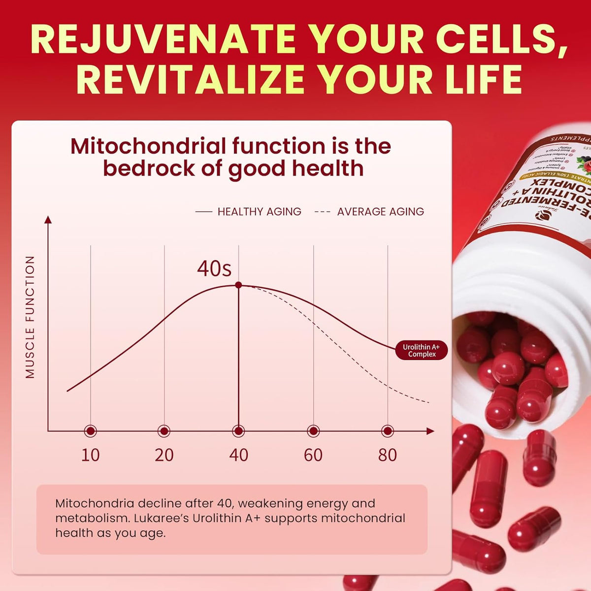 Triple-Strength Urolithin A+ Complex • 120 Capsules