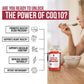 CoQ10 Supplement – Natural Q-SORB Form – 120 Capsules