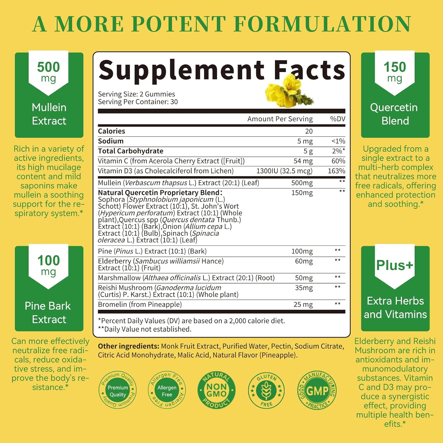 20 in 1 Mullein Gummies • 60 Count (2-Pack)