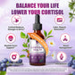 10 in 1  Cortisol Supplement Liquid Drops Hormone Balance, Blueberry Flavor