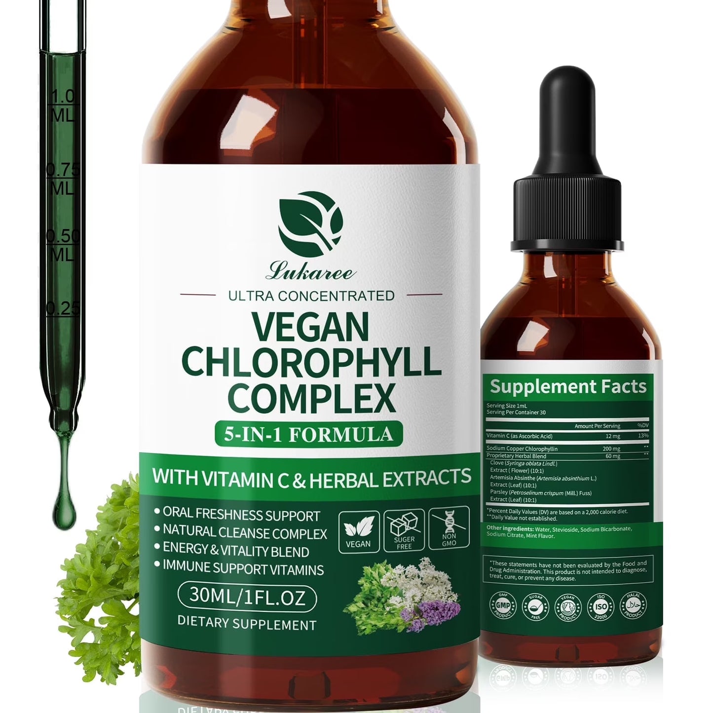 Vegan Chlorophyll Liquid Drops 200mg, Advanced Liquid Chlorophyll for Natural Cleansing & Immune Health, Internal Deodorant, Skin & Gut Health, Sugar-Free, Non-GMO, 1 Fl Oz - Mint Flavor