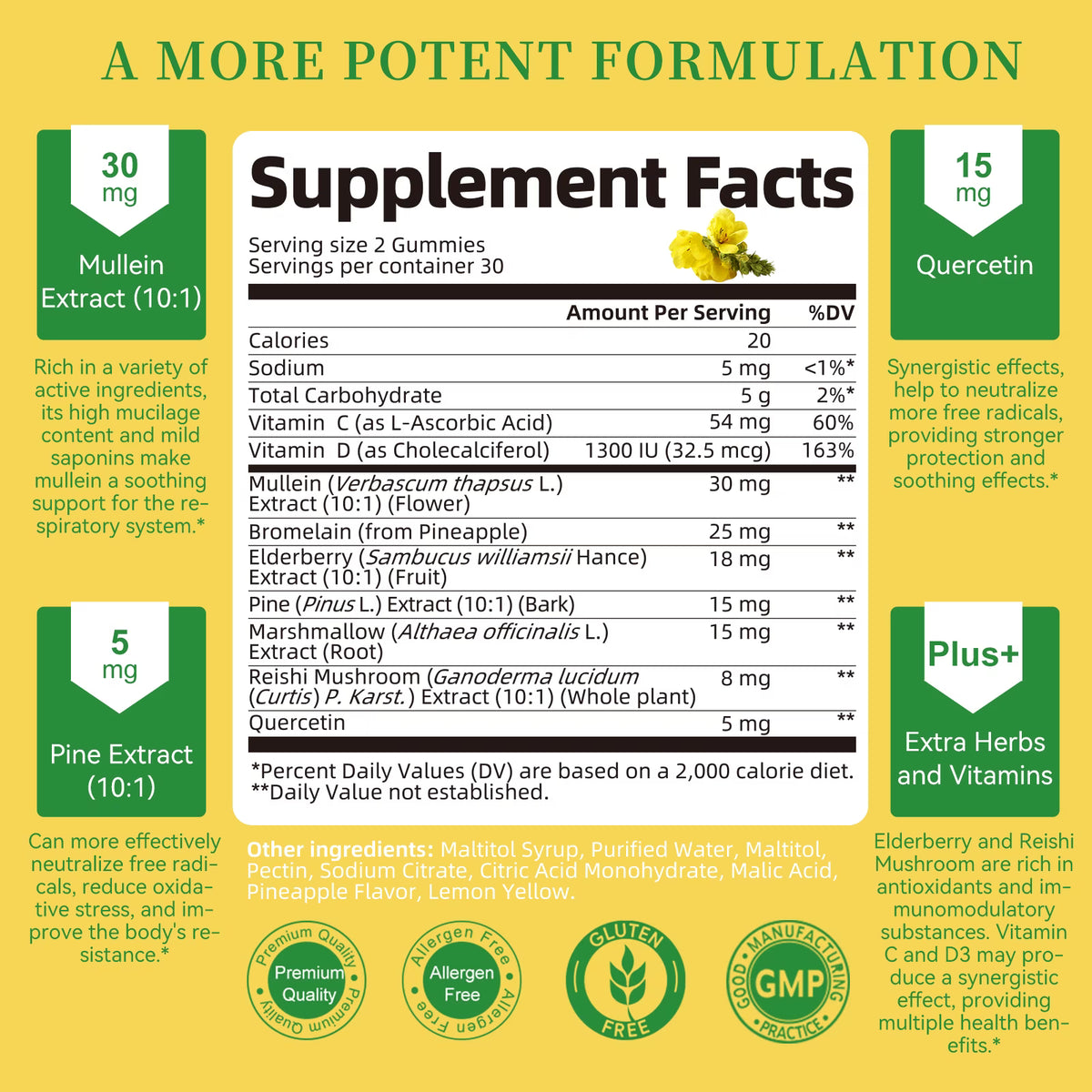 (2 Pack)Mullein Gummies for Lungs – Mullein Supplement with Quercetin, Elderberry for Respiratory & Immune Support, Lung Breathing & Detox, 60 Pineapple Gummies