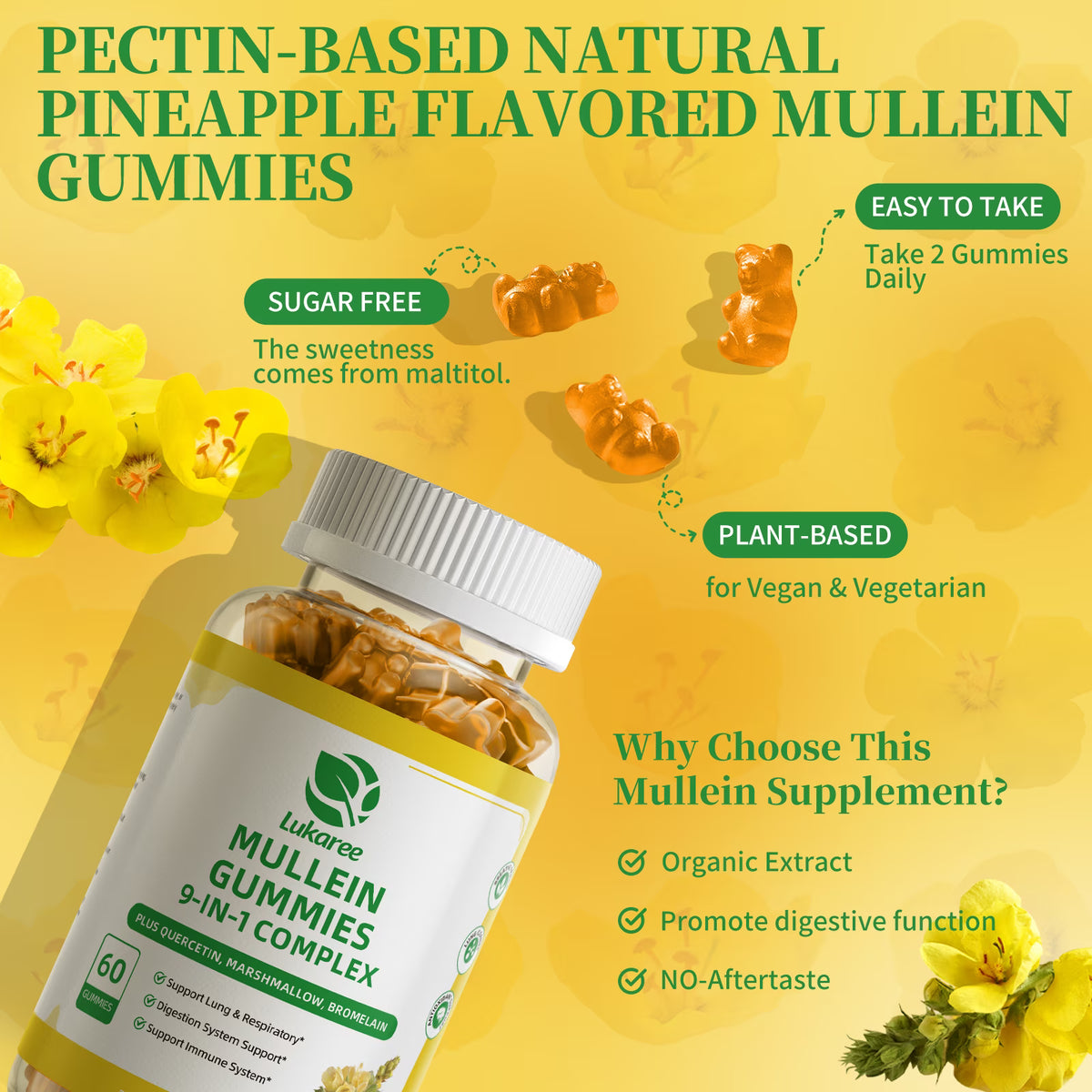 (2 Pack)Mullein Gummies for Lungs – Mullein Supplement with Quercetin, Elderberry for Respiratory & Immune Support, Lung Breathing & Detox, 60 Pineapple Gummies
